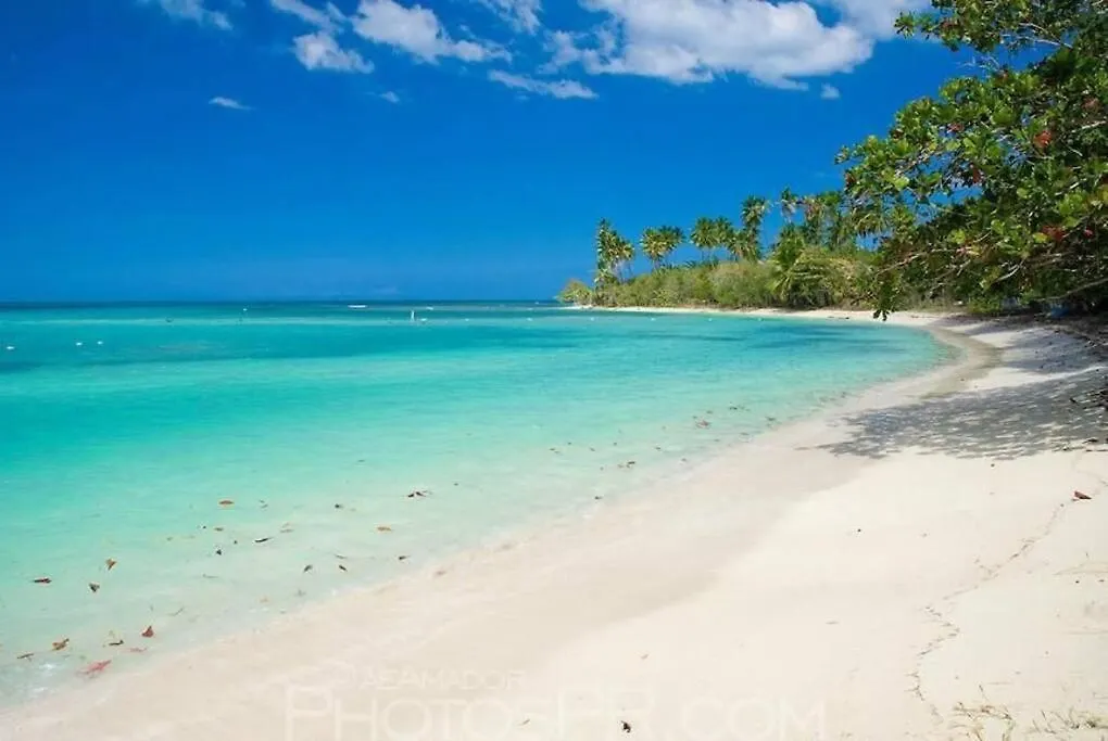 2-Br Modern Oceanfront Apt Steps From Playa Sucia Cabo Rojo 0*,
